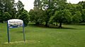 Sunnybrook park - summer (2)