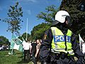 Swedish riot police at nationalist demo