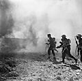 The British Army in Tunisia 1943 NA2177
