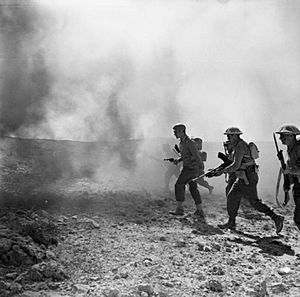 The British Army in Tunisia 1943 NA2177