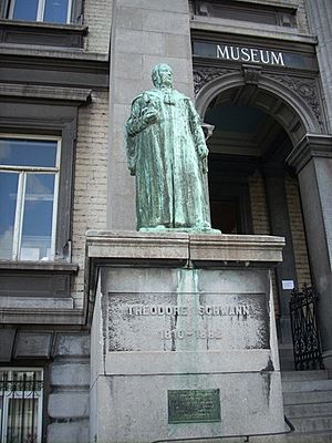Theodor (Théodore) Schwann (1810-1882), fondateur de la théorie cellulaire (1839), Institut de Zoologie, Liège