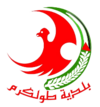 Official logo of Tulkarm