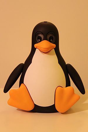 Tux Droid 1