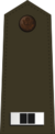 US Army W-2 (2020).svg