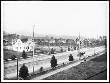 View of Hollywood Boulevard from a rooftop at Dale Street (or Orange Street?), ca.1905 (CHS-1751)