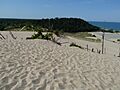 Warren Dunes