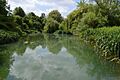 Watercress Wildlife Site 4