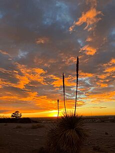 West El Paso Sunset