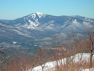 Whiteface Mt and Mt Esther seen from Jay ridge.JPG