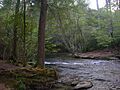 Abrams Creek Near Trailhead