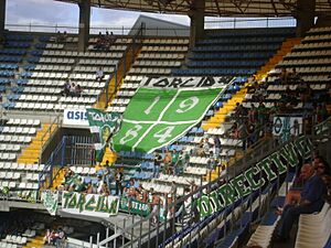 Aficionsportingportugal