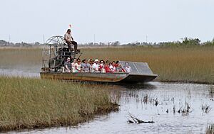 Airboating 1, Everglades, FL, jjron 31.03.2012