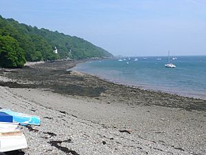 Anglesey Coast - geograph.org.uk - 1367265