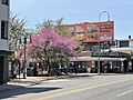 Ardmore Schauffele Plaza