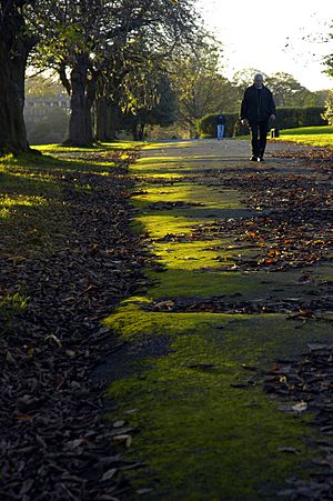 Armley park in autumn (64012979)
