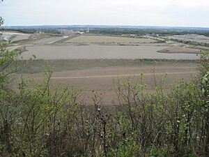 Barrington Chalk Pit 4
