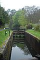 Basingstoke Canal - Lock
