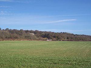 Betsom's Hill at Tatsfield, Kent.jpg