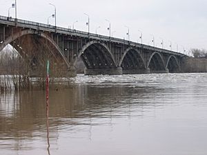 Biysk bridge