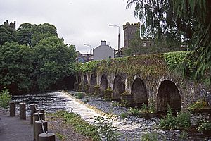 Bridge over the Sullane, Macroom - geograph.org.uk - 654790