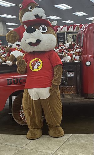Buc-ee the Beaver Mascot