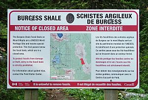 Burgess Shale notice