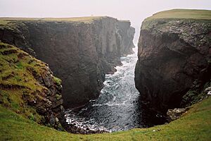 Calder's Geo - geograph.org.uk - 1518181