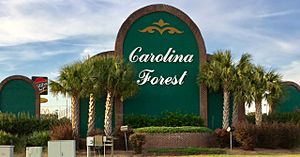 Sign at the entrance to Carolina Forest at the intersection of US 501 and Carolina Forest Boulevard