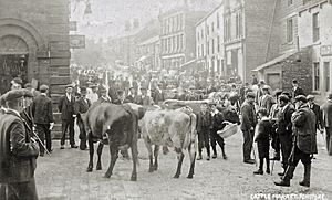 Cattle Market Penistone West Riding of Yorkshire England pre 1914