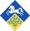 Coat of Arms of Zara Phillips (Variant)