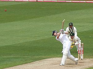 Collingwood in the 2009 Ashes at Cardiff