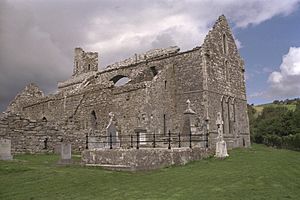 Corcomroe Abbey South East View 1996 08 22