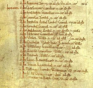 Domesday Book folio 301v ms detail