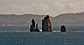 Drongs IMG 4616 (22088174525)
