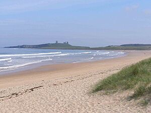 Dunstanburgh Castle from Embleton Beach - geograph.org.uk - 482567