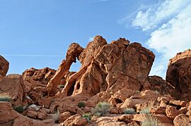 Elephant Rock - Valley of Fire State Park, Nevada, USA.jpg