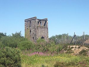 Engine House on Hingston Down - geograph.org.uk - 34658