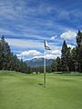 Flag at Spur Valley Golf Course - panoramio