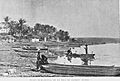 Flores1897e