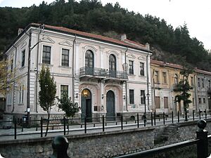 Florina-houses2