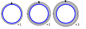 Fundamental group of the circle
