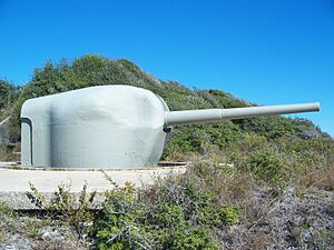 GINS FL Fort Pickens Battery 234-04