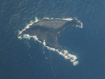 Gannet Island - aerial view.jpg