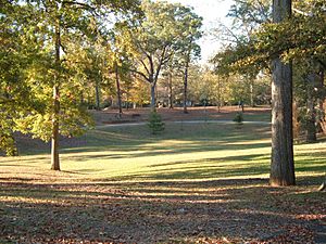 Grant Park field