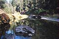 Hayfork Creek
