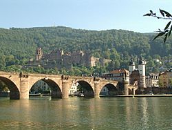Heidelberg Castle and the "Old Bridge"