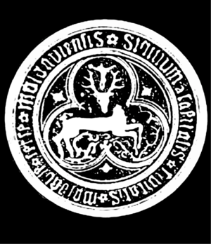 Historical Baia Suceava CoA 14th century