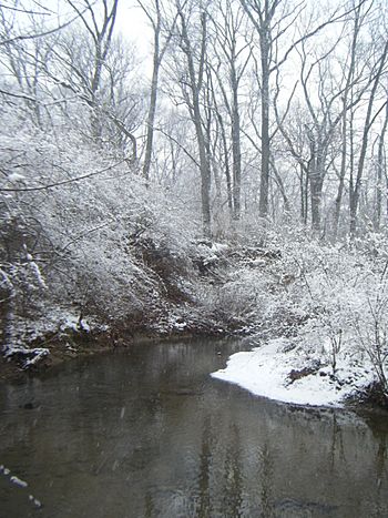 Holes Creek in Washington Township.jpg