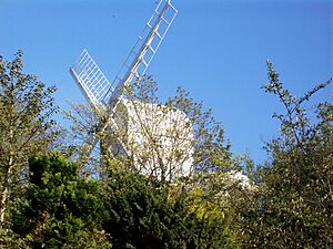 Holton Mill 2007