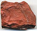 Jasper (32132824820)